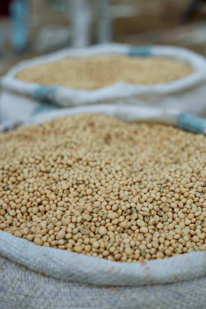 Close-up image of sacks filled with soybeans, ideal for nutrition concepts.